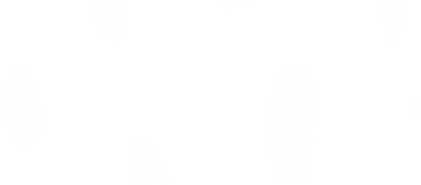 Solid White Background