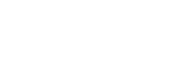 brush_WHITE