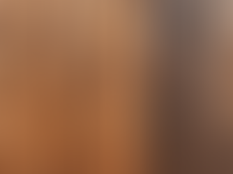 Transform Your Space with Professional Fence Staining