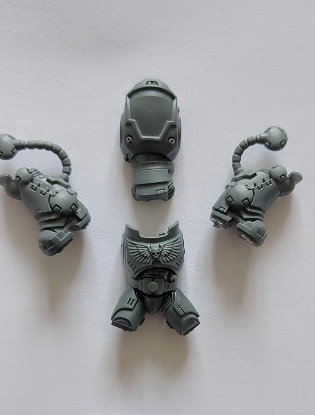 Heavy Intercessors Body C