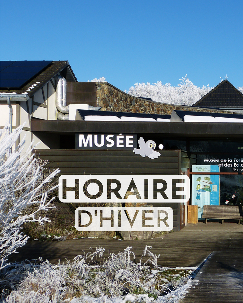 Quel jour pour visiter le Musée durant les vacances ?