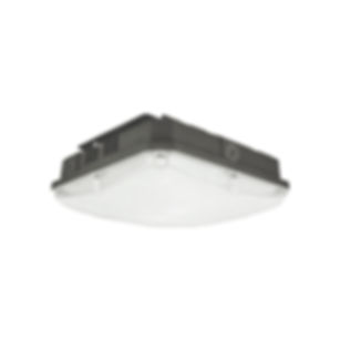 LED High Output Canopy Fixture - 5000K Color Temperature 40W