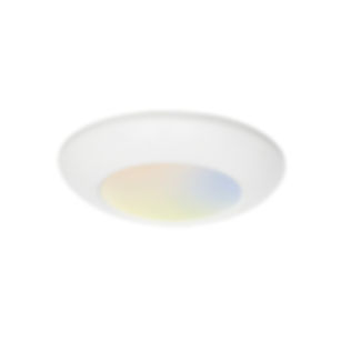 Surface Mount LED Disk Light - 5 Color Temperature Adjustable 4 inch