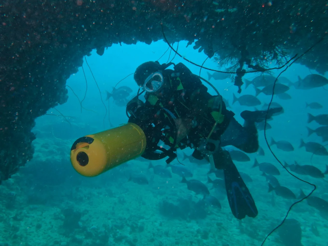plongé sous marine -Port-Louis