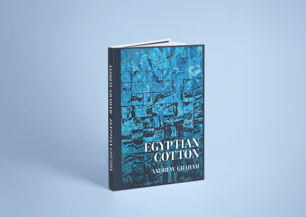 Front_cover_mockup_0001