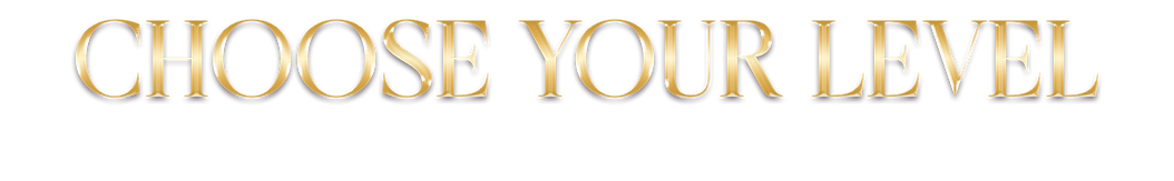 V5.png