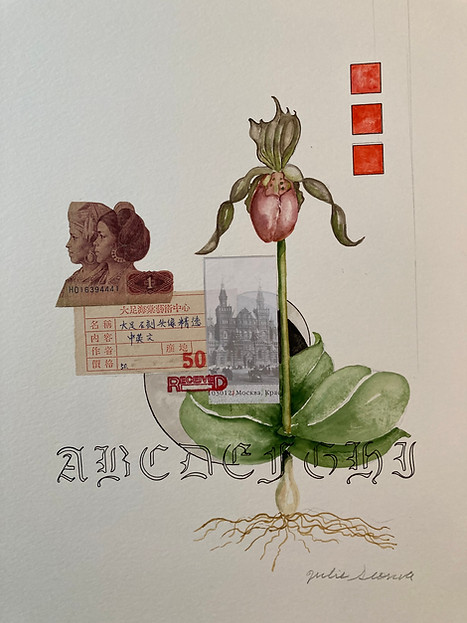 ladySlipper.jpeg