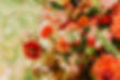 Early Autumn Funeral