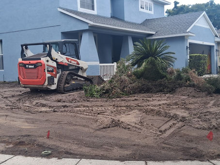 Bobcat landscape cleanout and front yard grading in St. Petersburg Florida