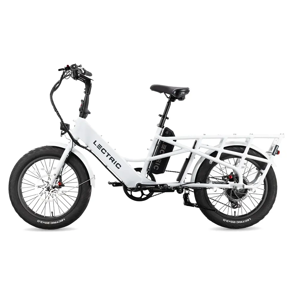 Thumbnail: XPedition Cargo eBike