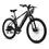 Thumbnail: Lectric XPress 750