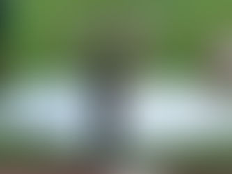 UBS Kids Cup Schweizer Final 2025 Zürich