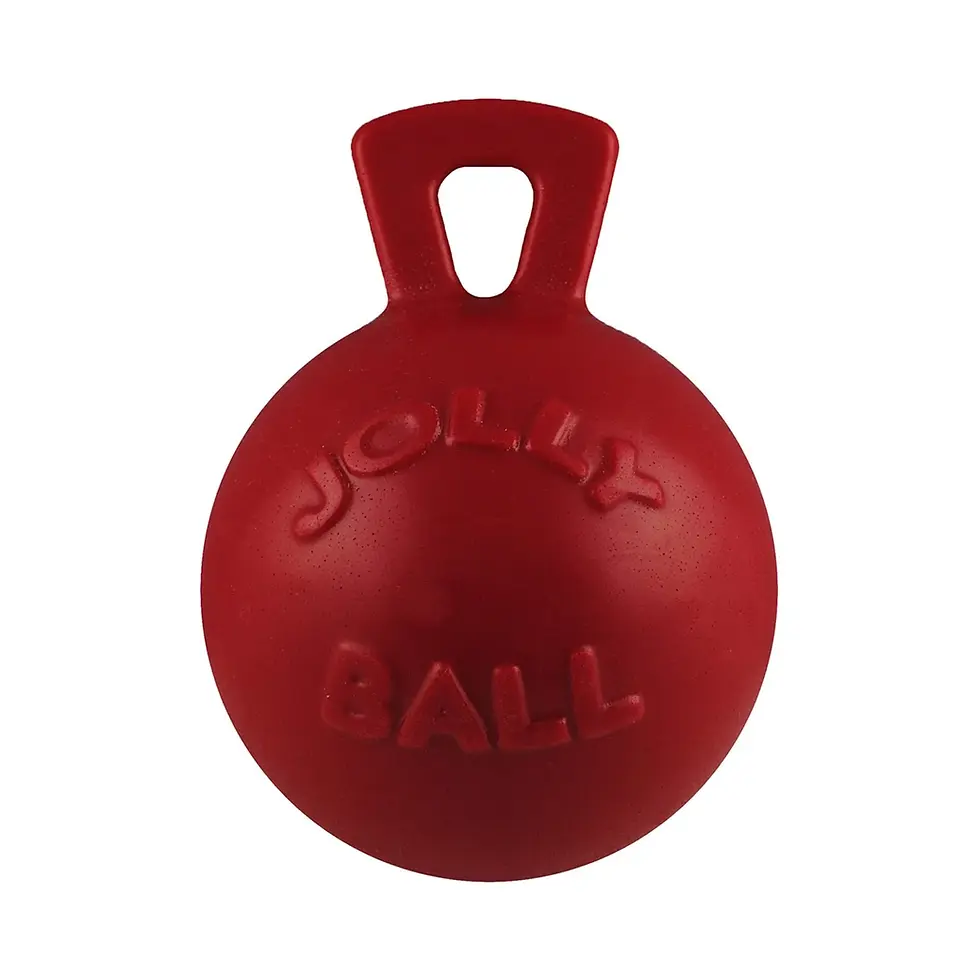 Miniatura: Juguete Jolly Perro Tug-n-Toss