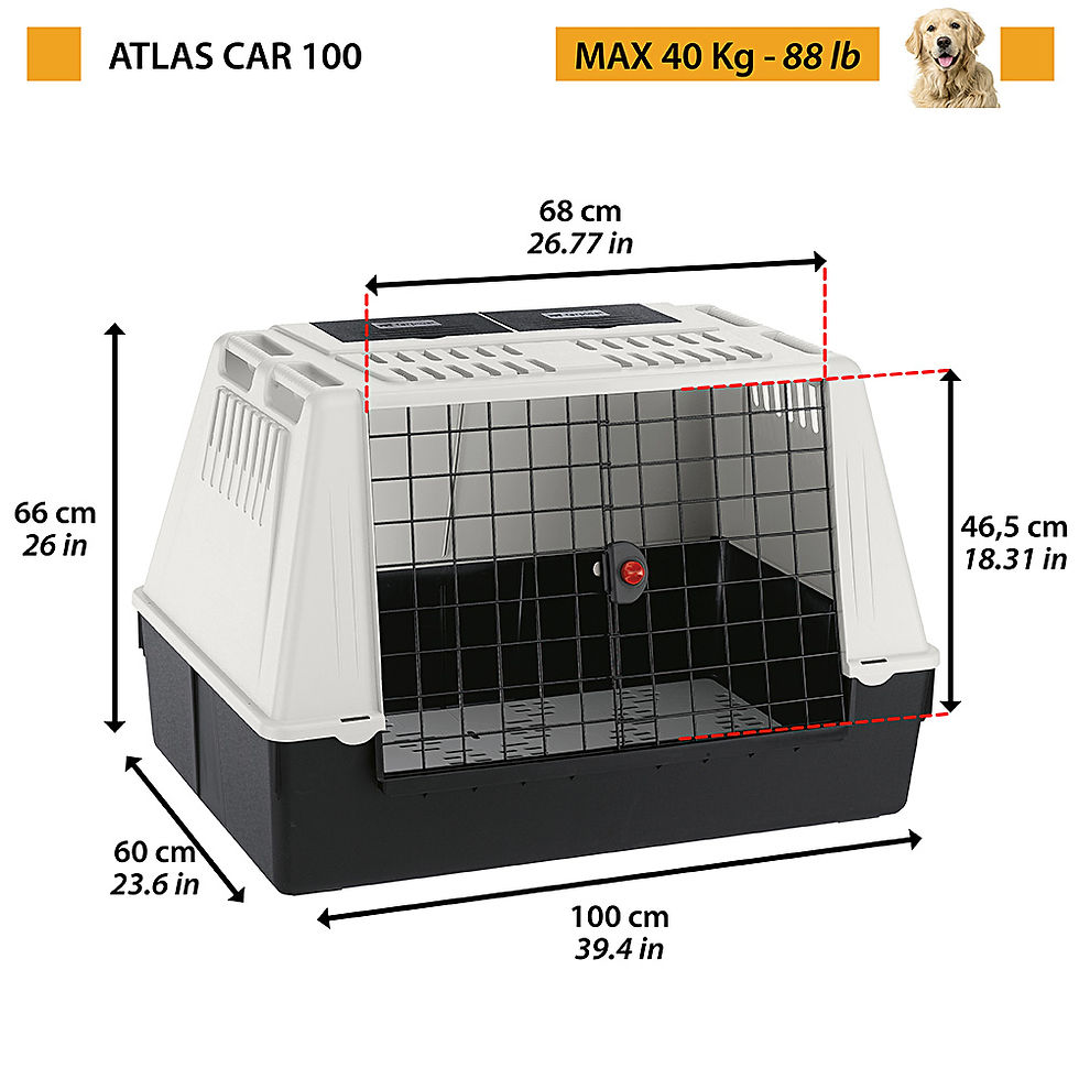 Miniatura: Atlas Car (L-XL)
