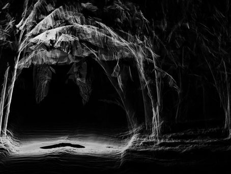 Création de l’Unité d’Enseignement “Art et Optique” pour les étudiants de l’Université Paris-Saclay