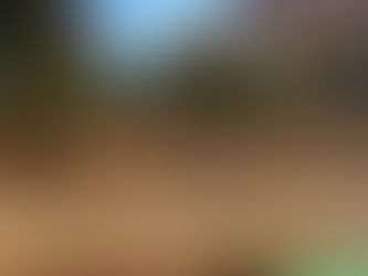 Why Universal City Homeowners Are Replacing Lawn Services With Xeriscaping