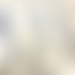 Collection "Zoologie Marseillaise"