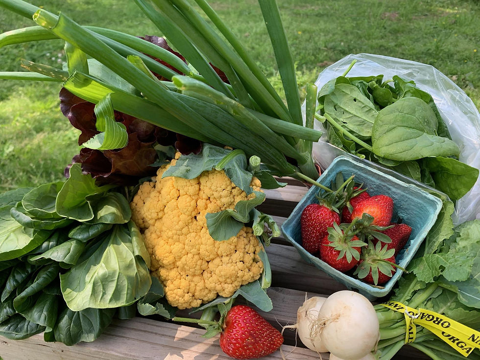 Best of Harvest Produce Box TLW