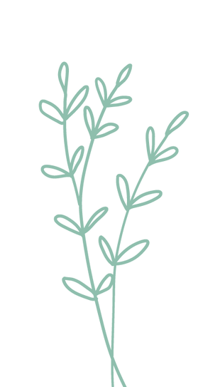 fleurs