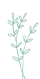 fleurs