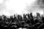 Crowd of people cheering at a live concert_edited.jpg