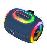 Portable Speaker | Ryunix PX100