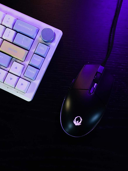 Wired Gaming Mouse | Ryunix Shinkai
