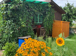 Foto 02.08.20, 14 45 47.jpg