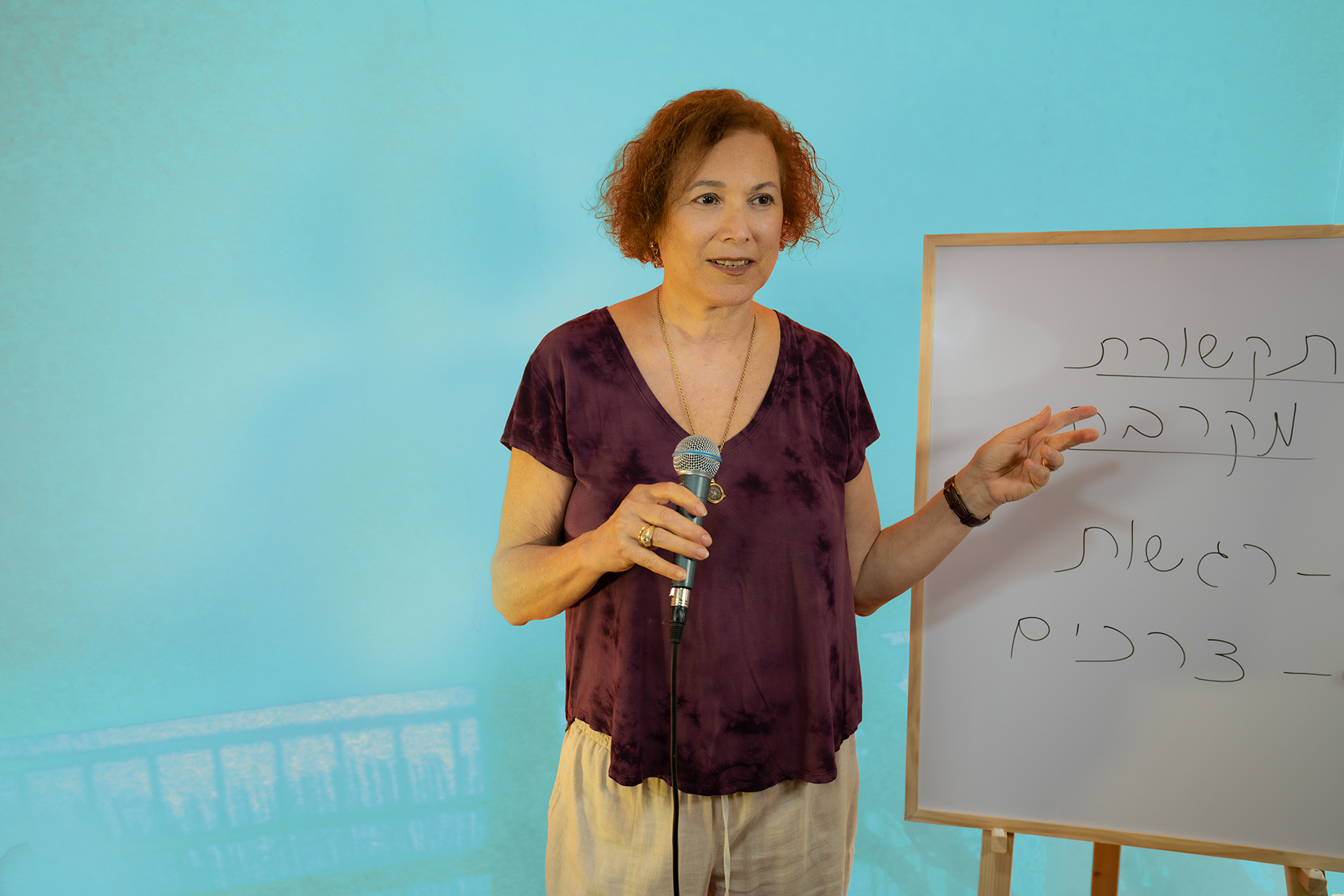 אורנה סער בהרצאה