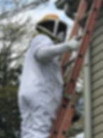 Corey safely eradicating wasps