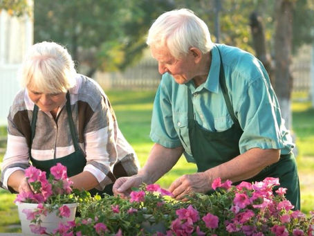 Tips to Make Gardening for Seniors Easier and More Accessible