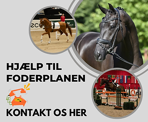 Kontakt os her (1).png