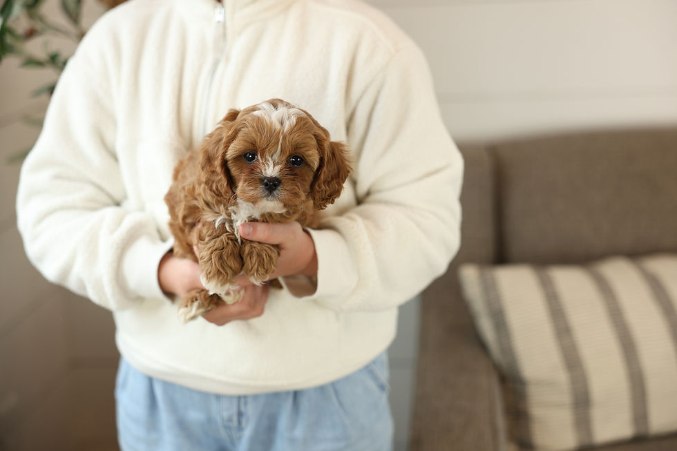 Rosie