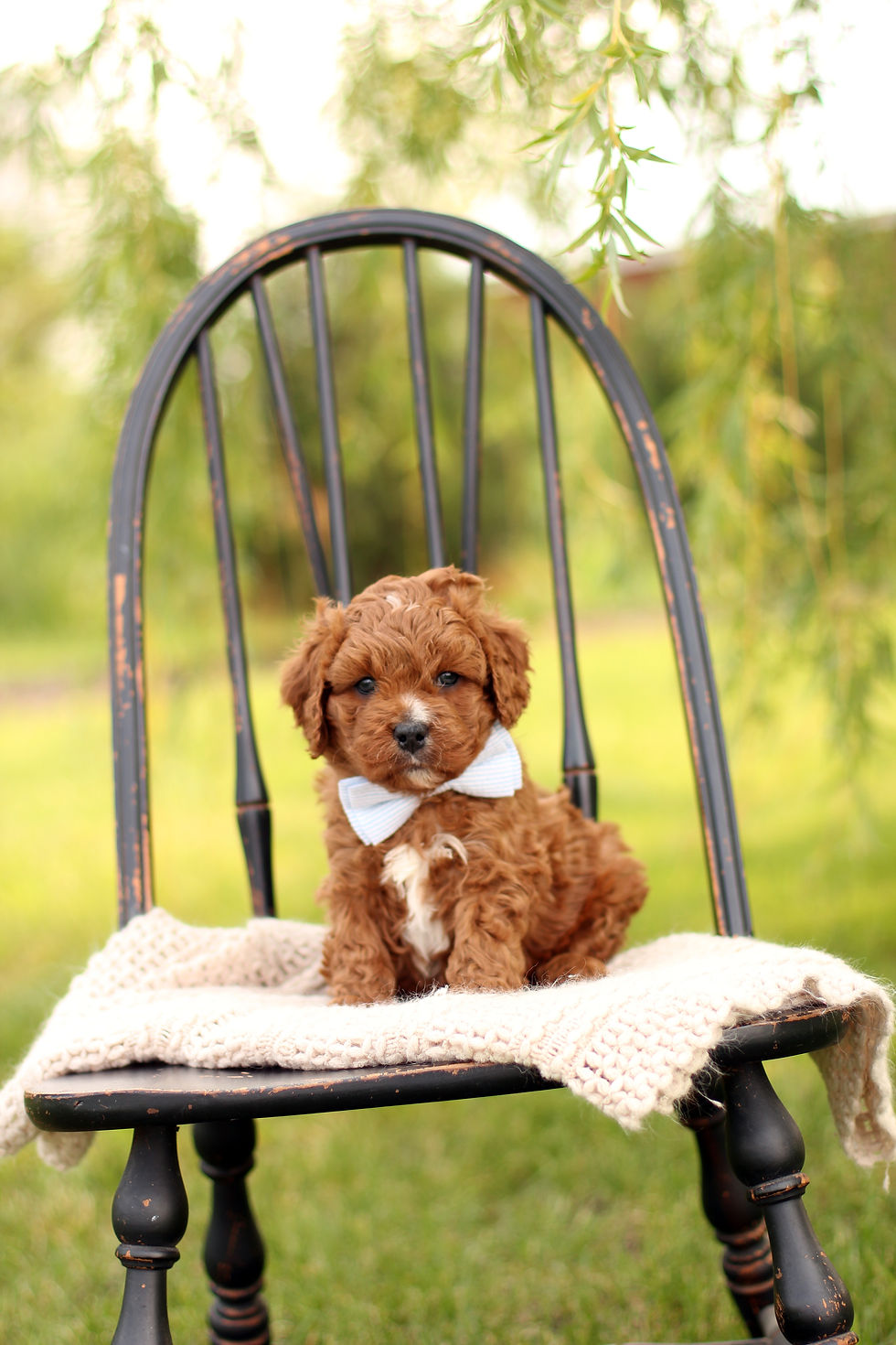 George