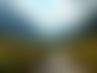 Master the Art of Online Eco-Tour Planning