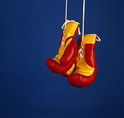 Pro Boxing Gloves