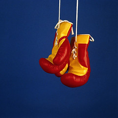 Gants de boxe Pro