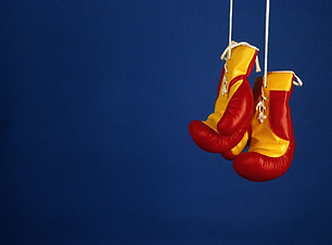 Pro Boxhandschuhe