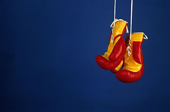 Pro Boxhandschuhe