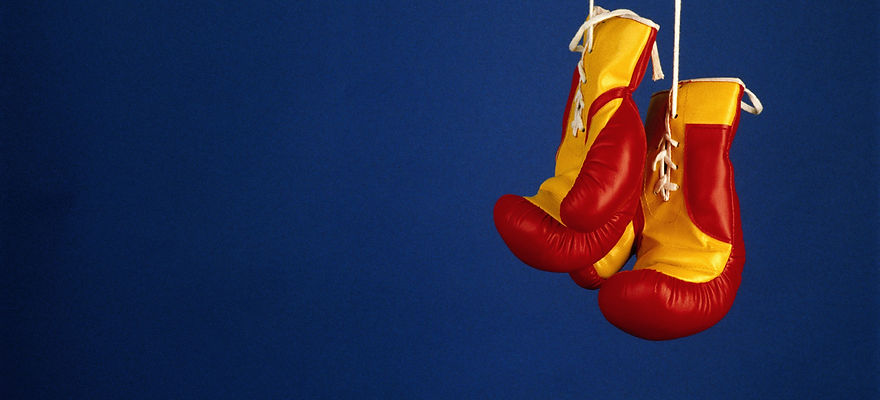Pro Boxing Gloves