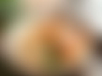 Mangiare bene con l’endometriosi: strategie dietetiche per il benessere femminile