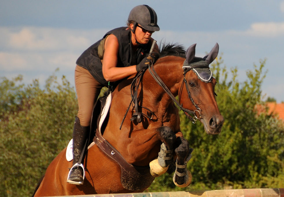 CSO - Eperon d'Ornon