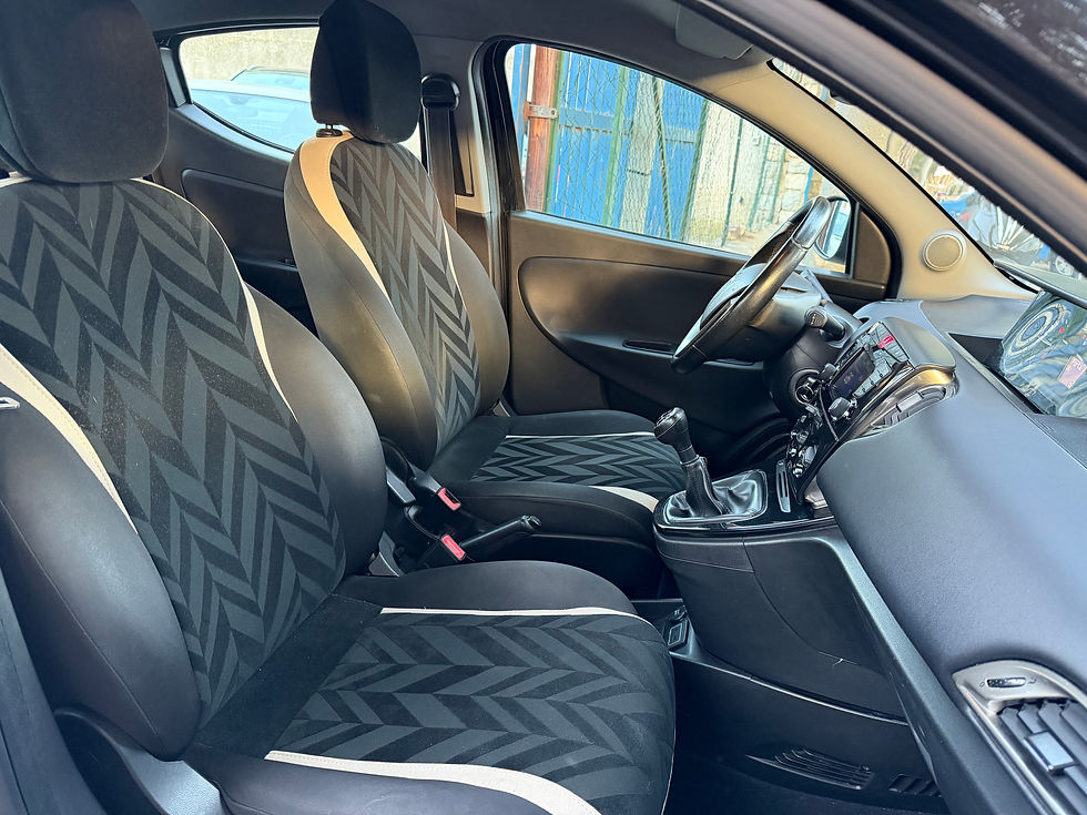 Miniatura: Lancia Ypsilon 1.3 MJT 16V S&S Platinum 
