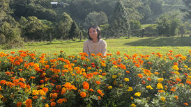 Reiki the fastest growing healing practice and the benefits discussed