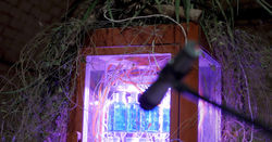 pierre pauze es baluard the spure