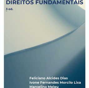 Constitucionalismo, democracia e direitos fundamentais - Volume 3 (Anuário PPGD FURB)