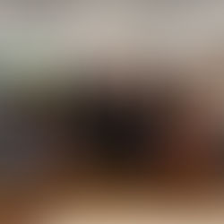 PPGD FURB encerra Seminário com lançamento de livro e integração interinstitucional