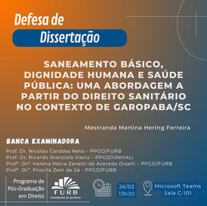 Defesa - Martina Hering Ferreira (Turma 2024)
