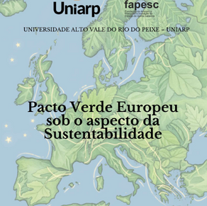 [Capítulo de Livro] O Estado Eficiente e Desenvolvimento Urbano: sustentabilidade na sociedade hipermoderna