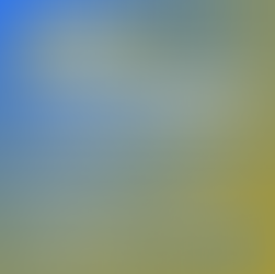 Qualificação - Letícia Frankenberg de Souza (Turma 2023)